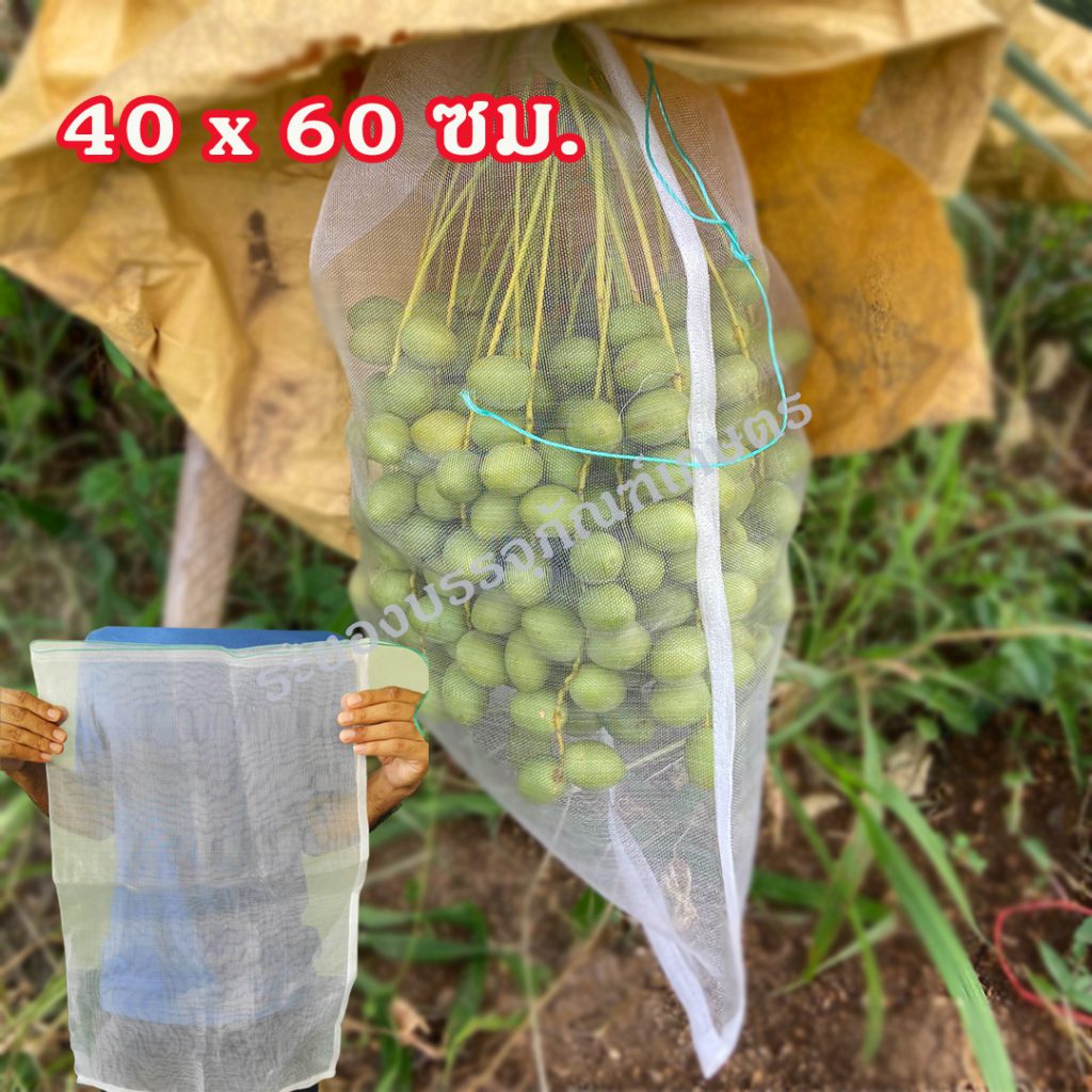 40x60 ซม.